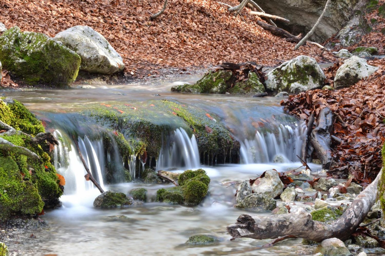 I colori dell’autunno nella Val Fondillo e Grotta delle Fate Molise Tour & Omega Travel I colori dell’autunno nella Val Fondillo e Grotta delle Fate Molise Tour & Omega Travel